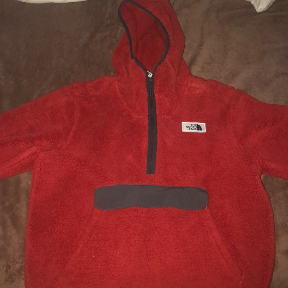 The north face jacket